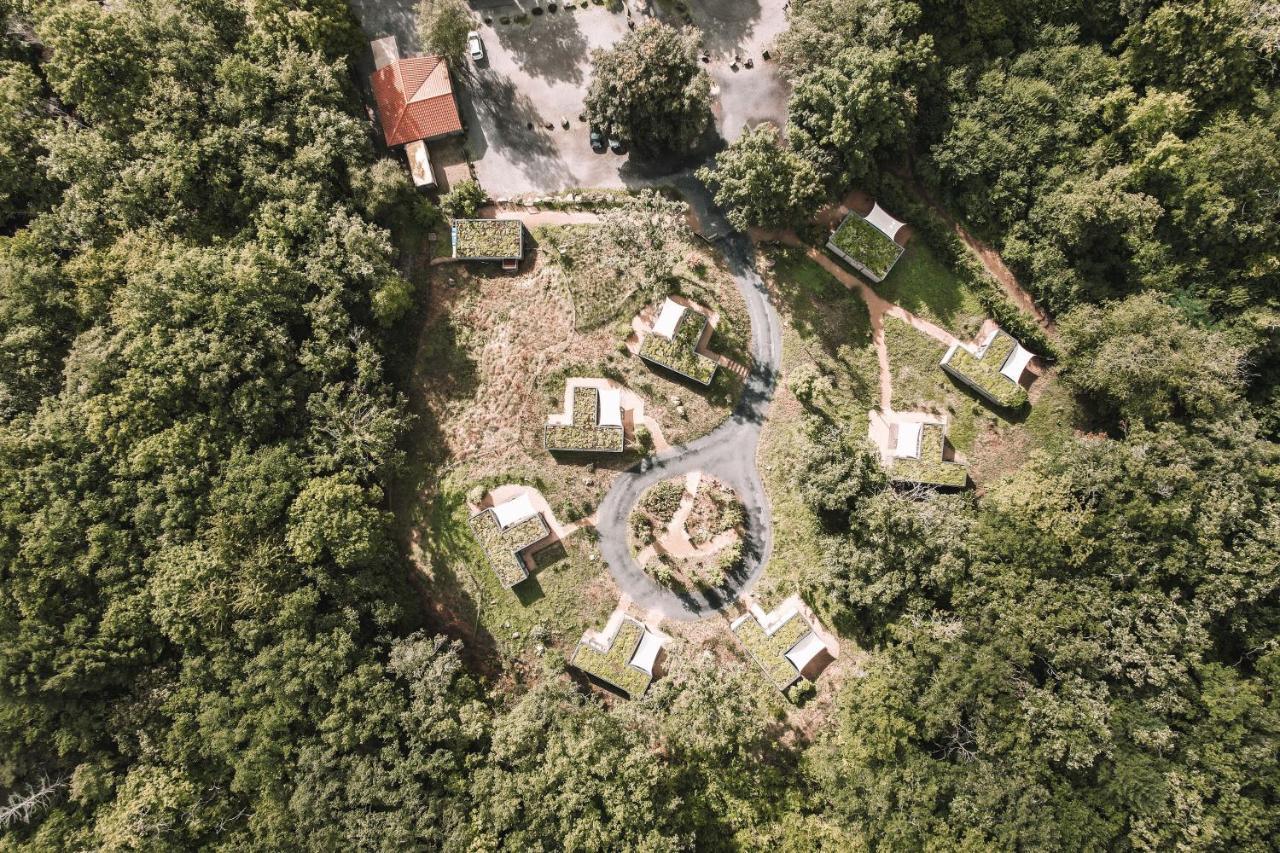 Volvic Organic Resort エクステリア 写真